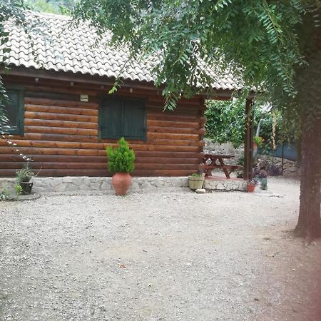 Cabana De Madera La Encina Burunchel Екстер'єр фото