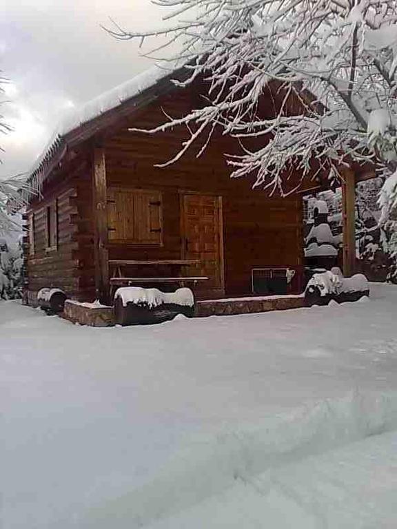 Cabana De Madera La Encina Burunchel Екстер'єр фото
