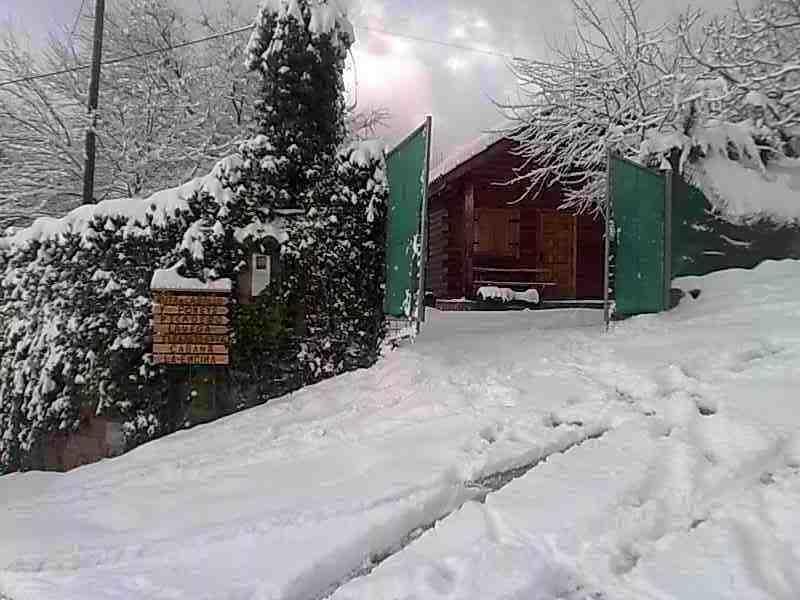 Cabana De Madera La Encina Burunchel Екстер'єр фото