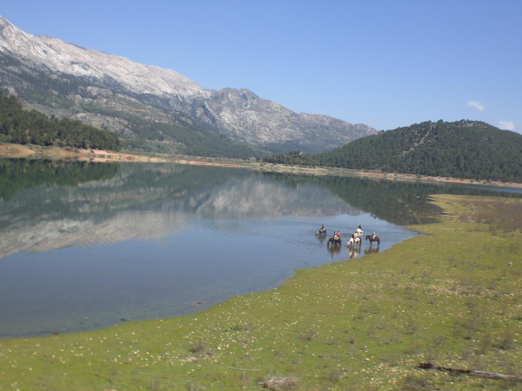 Cabana De Madera La Encina Burunchel Екстер'єр фото